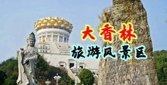 男人日美女逼逼的影视视频中国浙江-绍兴大香林旅游风景区